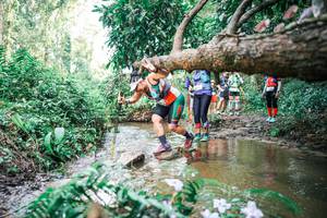 BIB: 
                            <button type="button" onclick="openModal(25517795)" class="btn btn-primary btn-sm float-right btn-popup" data-toggle="modal" data-target=".modal-high-quality">
                        <i class="fas fa-shopping-cart"></i> Add to Cart
                    </button>
                                            <button type="button" onclick="isThisMe(25517795, true)" class="btn btn-success btn-sm float-right btn-popup btn-isme hidden" data-toggle="tooltip" data-placement="bottom" title="นี่คือรูปของคุณใช่ไหม คลิกที่นี่เพื่อเอาเข้าอัลบั้ม">
                        <i class="fas fa-plus"></i> Add to album
                    </button>
                    <button type="button" onclick="isThisMe(25517795, false)" class="btn btn-warning btn-sm float-right btn-popup btn-isnotme hidden">
                        <i class="fas fa-ban"></i> Remove from album
                    </button>